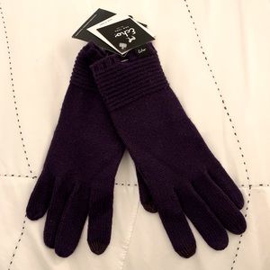 Echo Touch Purple Gloves